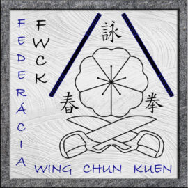 Federácia Wing Chun Kuen  /  Si-fu Juraj  Povinec